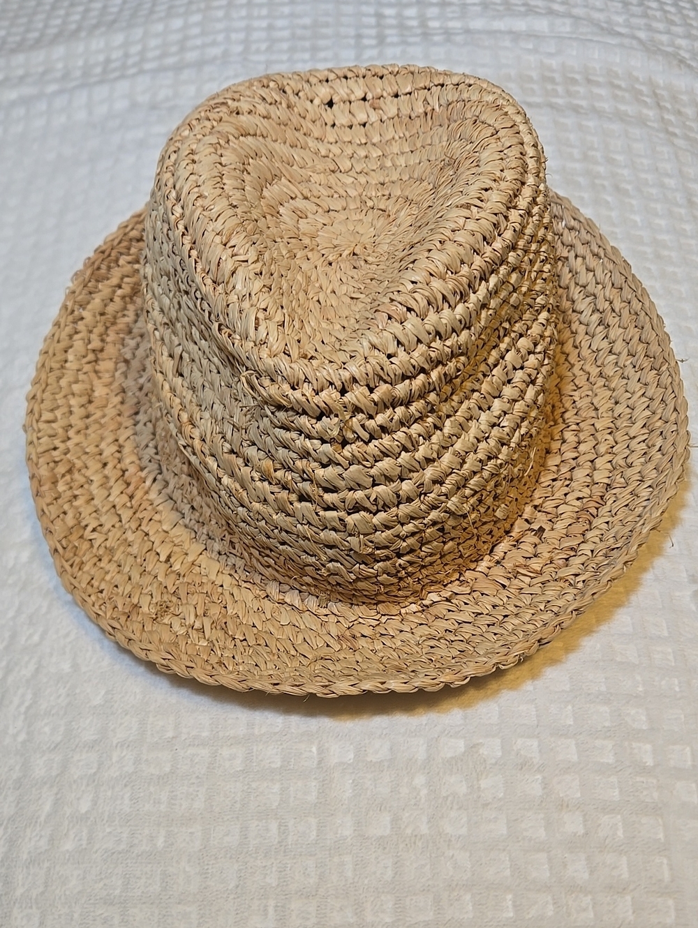 Tracy Watts Brooklyn Women's Raffia Natural Straw Hat Fedora One Size Fits All